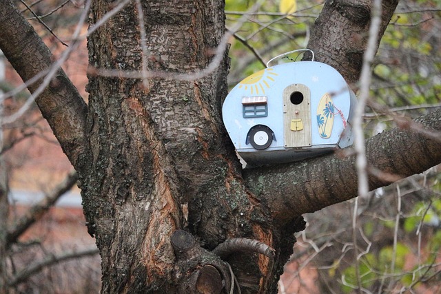 caravan-accessories-australian-caravans-640x480-71645221.jpeg