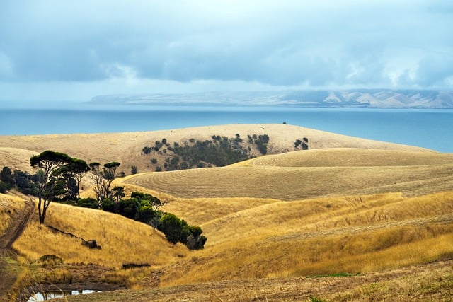 caravan manufacturer, caravans Australia