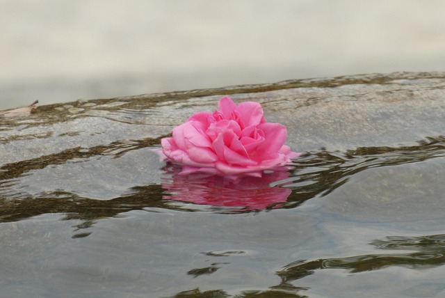 caring-grief-support-640x480-79255508.jpeg