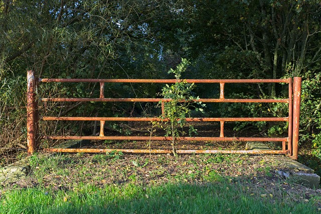 colorbond fencing,  Backyard colorbond fences