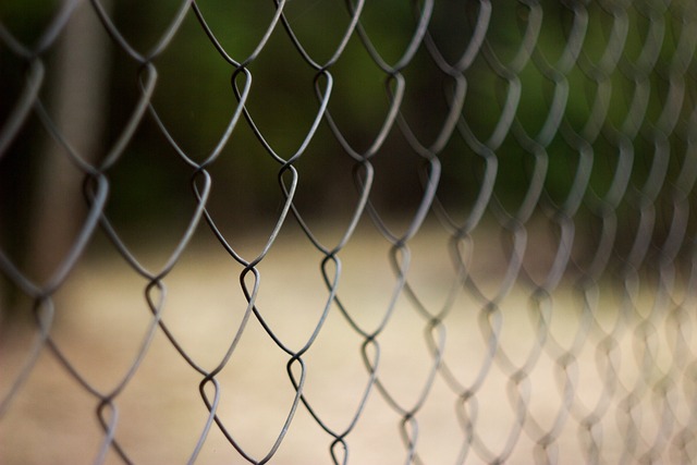 colorbond-fencing-backyard-colorbond-fe-640x480-35116176.jpeg