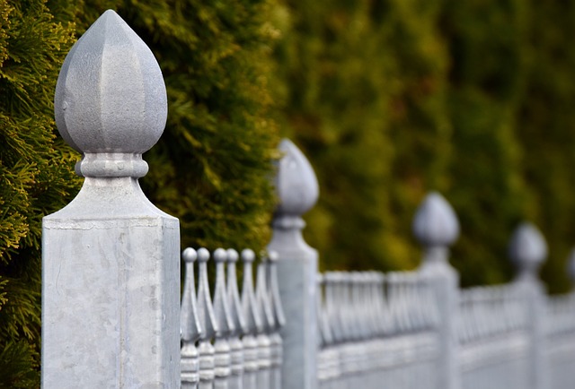colorbond fencing,  Backyard colorbond fences
