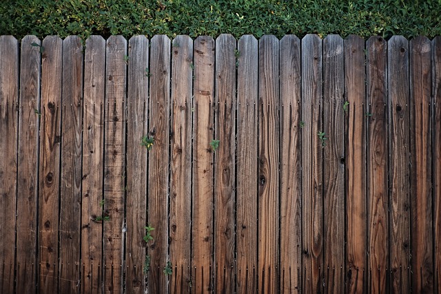 colorbond fencing,  Backyard colorbond fences