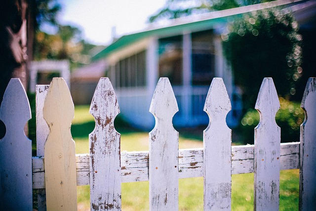 colorbond fencing,  Backyard colorbond fences