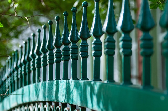 colorbond fencing,  Backyard colorbond fences