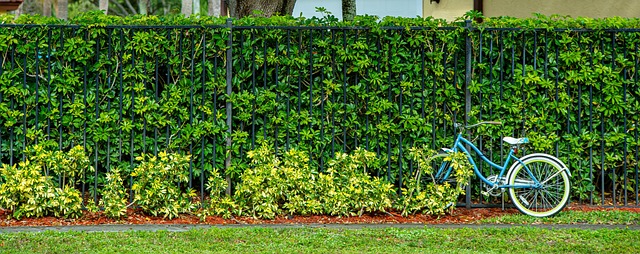 colorbond fencing,  Backyard colorbond fences