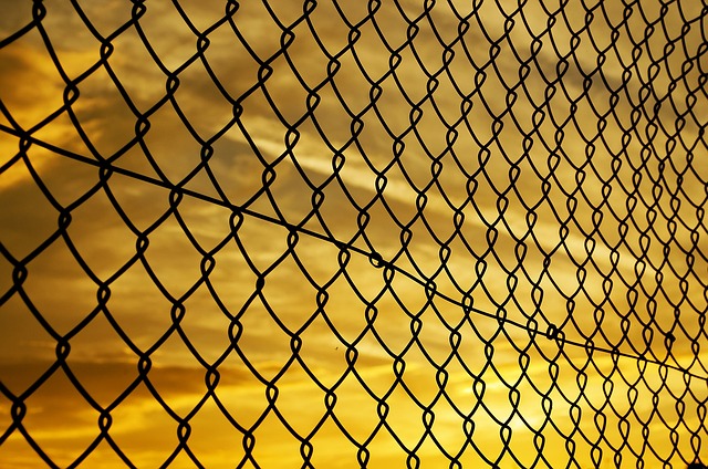 colorbond fencing,  Backyard colorbond fences