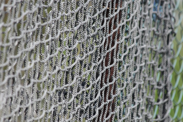 colorbond-fencing-backyard-colorbond-fe-640x480-90247352.jpeg