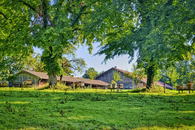 Farm Shed, 