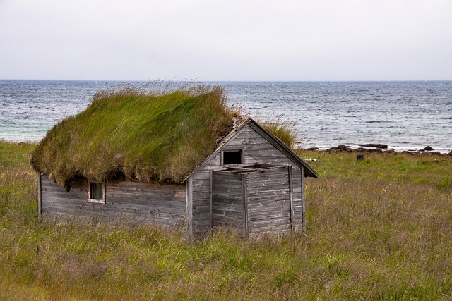 farm-shed-640x480-43001383.jpeg