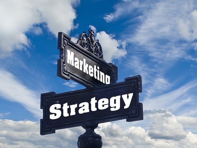 Franchise Marketing Infographic, Franchise Growth Strategy. Visual Franchise Branding Tips Graphic