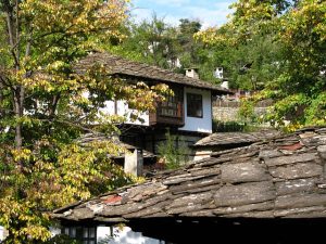Maximizing Shepparton Property Sales: Expert Strategies with Top Real Estate Agent