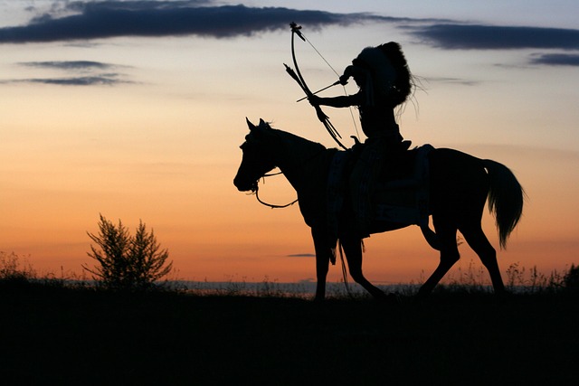horse, horse lead rope