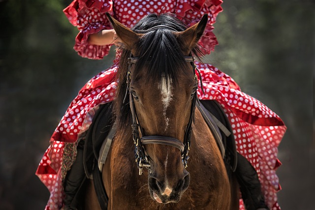 horse-horse-lead-rope-640x480-34754073.jpeg