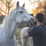 Lead Ropes for Natural Horsemanship in Australia: Cam’s Cords Revolution