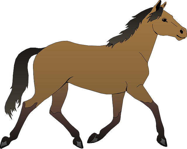 horse-horse-lead-rope-640x480-95458161.png