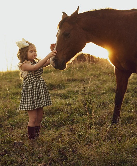 horse, horse lead rope, horses