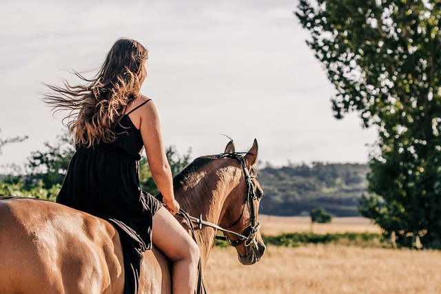 horse-horse-lead-rope-horses-640x480-66082794.jpeg