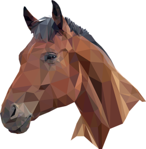 horse-horse-lead-rope-horses-640x480-68784087.png
