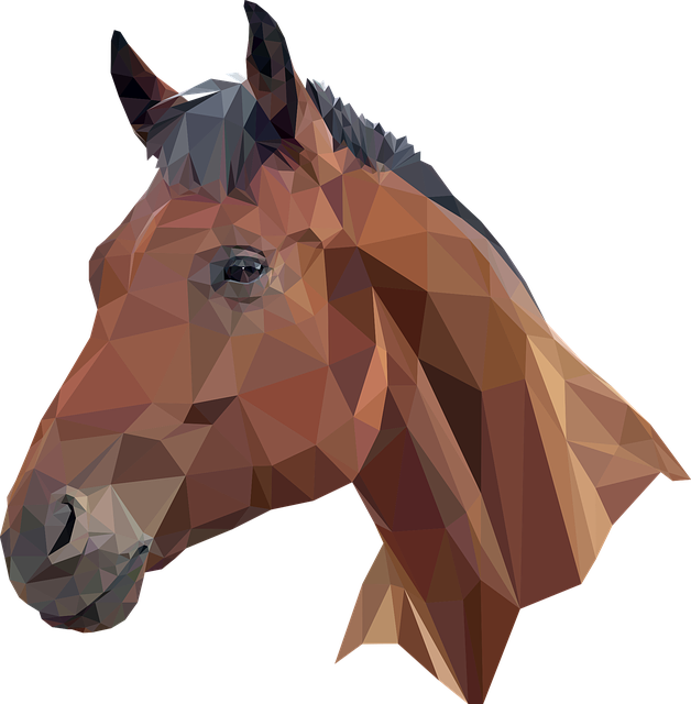 horse-horse-lead-rope-horses-640x480-68784087.png