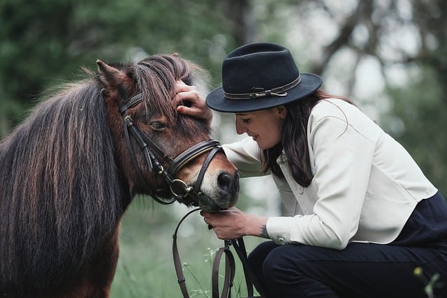 horse, horse lead rope, horses