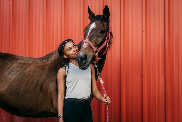 horse-horse-lead-rope-horses-640x480-99098562.jpeg