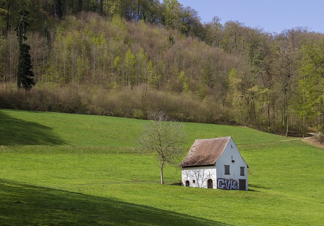 sheds, shed maufacturer