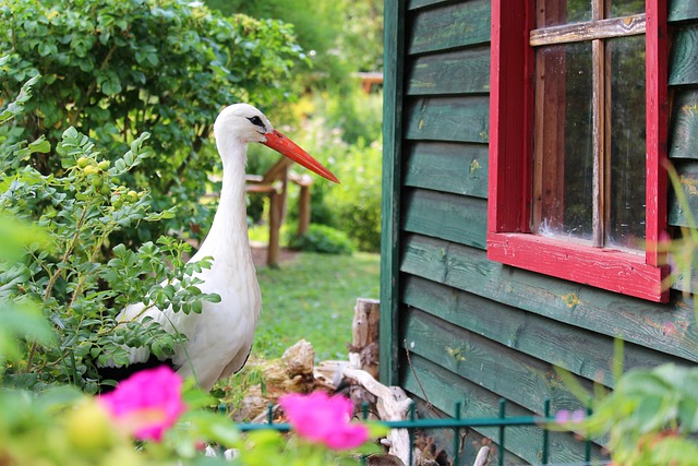 sheds, shed maufacturer