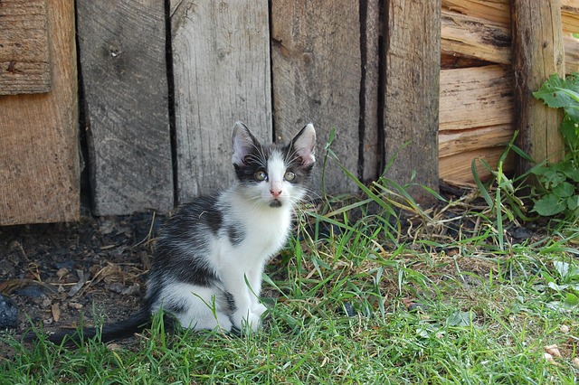 sheds-shed-maufacturer-640x480-51035992.jpeg