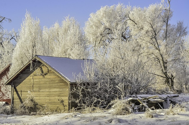 Steel Sheds Wagga Wagga: Customized Protection for Farm Efficiency with Reputable Manufacturers