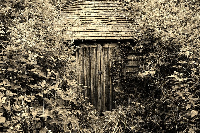 sheds, shed maufacturer