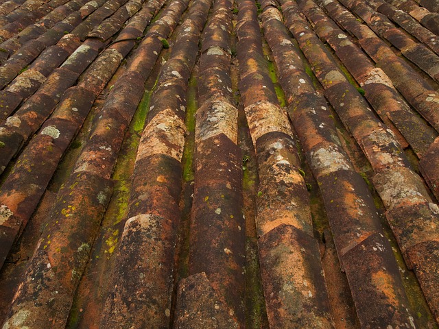Steeline colorbond roofing
