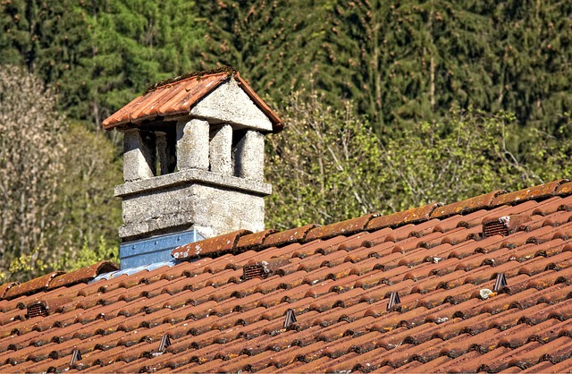 Steeline colorbond roofing