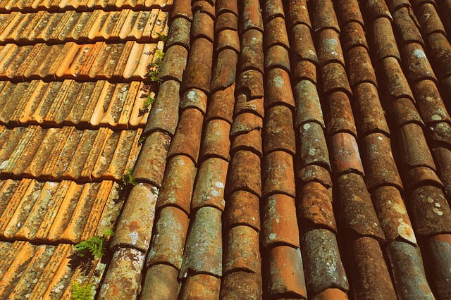 steeline-colorbond-roofing-640x480-72475243.jpeg