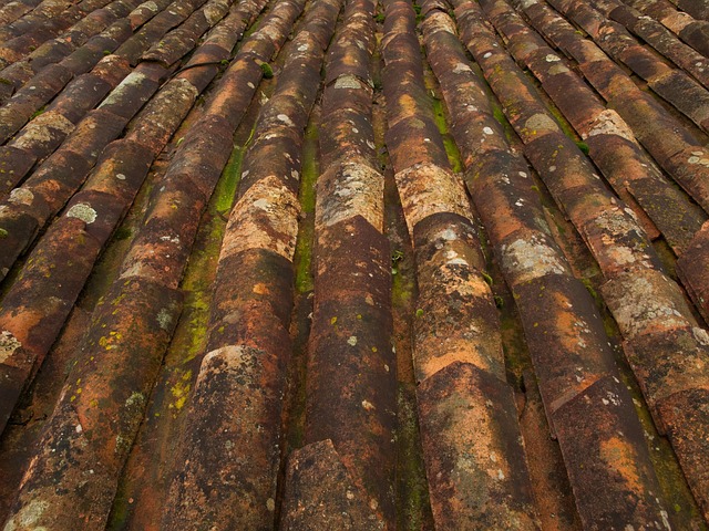 Steeline colorbond roofing