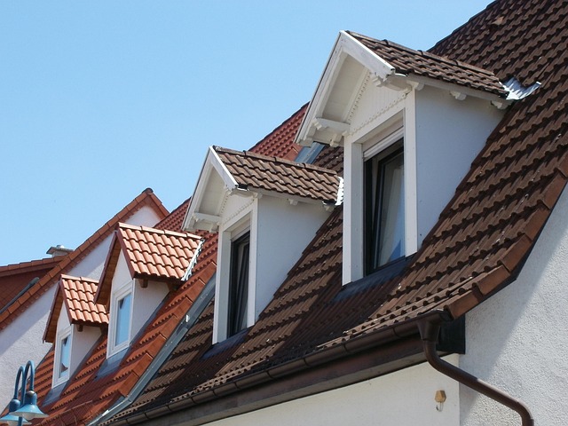 Steeline colorbond roofing