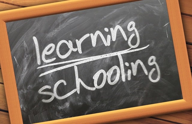 students, educators, courses