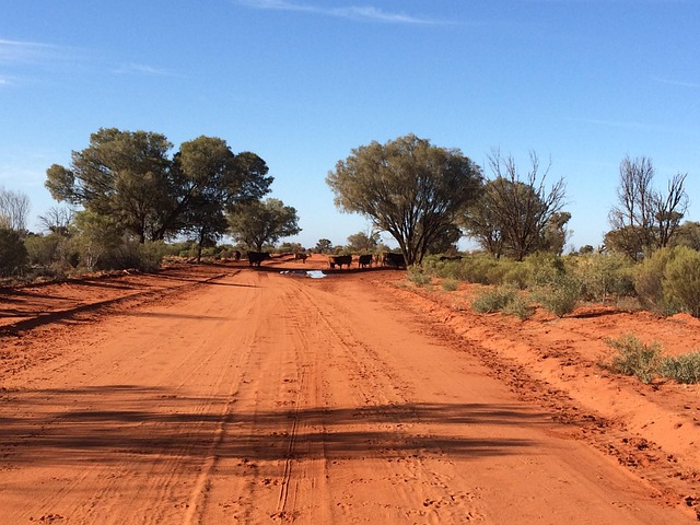 Vacationer caravans, Australian locations, Camping in Australia