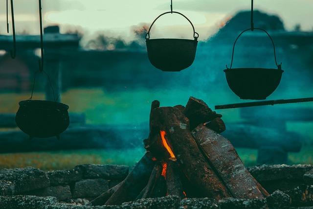 Vacationer Caravan: Unmatched Off-Track RV Adventure Awaits