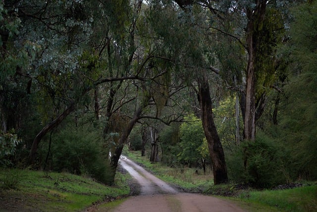 Vacationer caravans, Australian locations, Camping in Australia