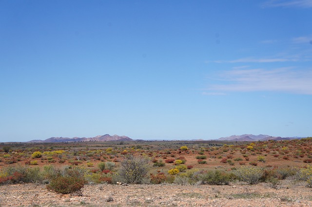 Vacationer caravans, Australian locations, Camping in Australia