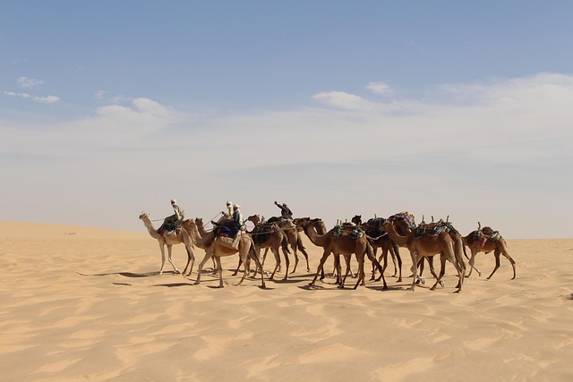 Unveiling Top Quality Features in Australian 2025 Vacationer Caravans