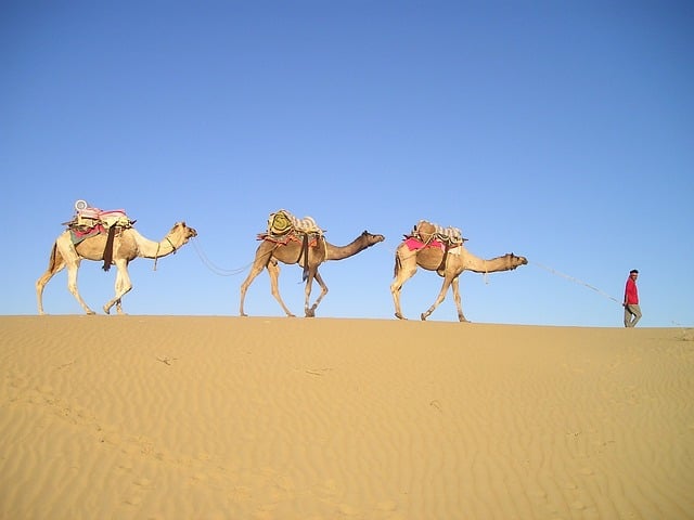 Caravan, Best Caravan, Travel locations in Australia