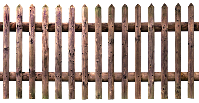 colorbond fencing,  Backyard colorbond fences
