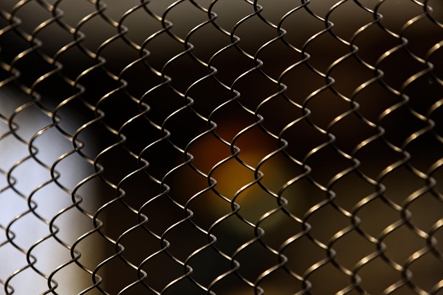 colorbond fencing,  Backyard colorbond fences