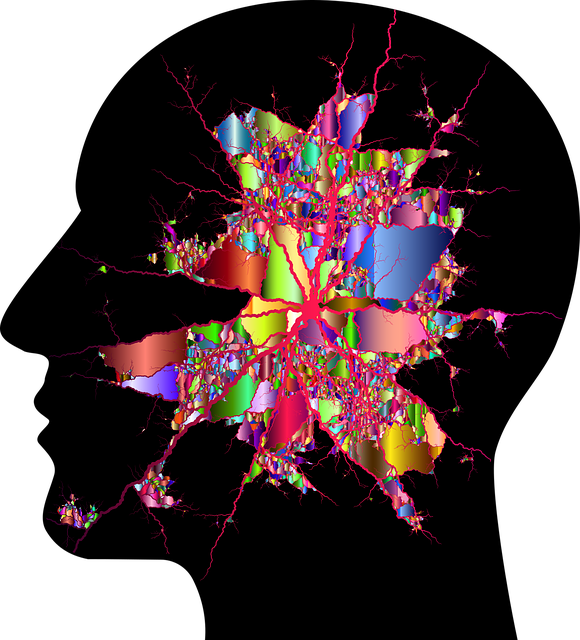 evolve psychology, evolve mind, evolving minds counselling