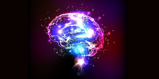evolve psychology, evolve mind, evolving minds counselling