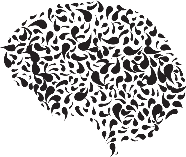 evolve psychology, evolve mind, evolving minds counselling