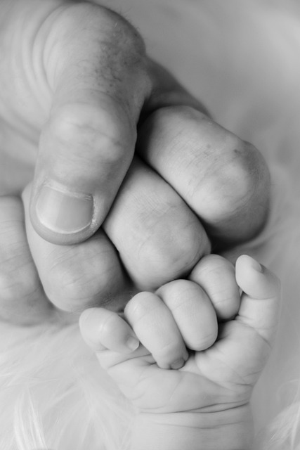 family, family psychology, family therapy