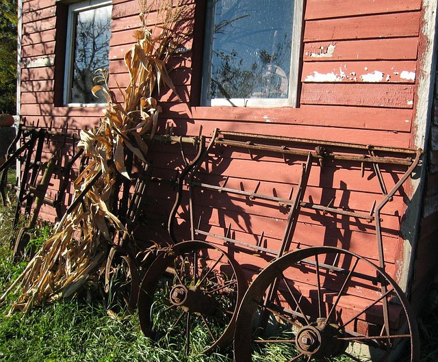 Maximizing Space: Design Tips for Farm Sheds Wagga Wagga & Rural NSW